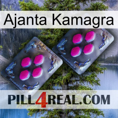 Ajanta Kamagra 01